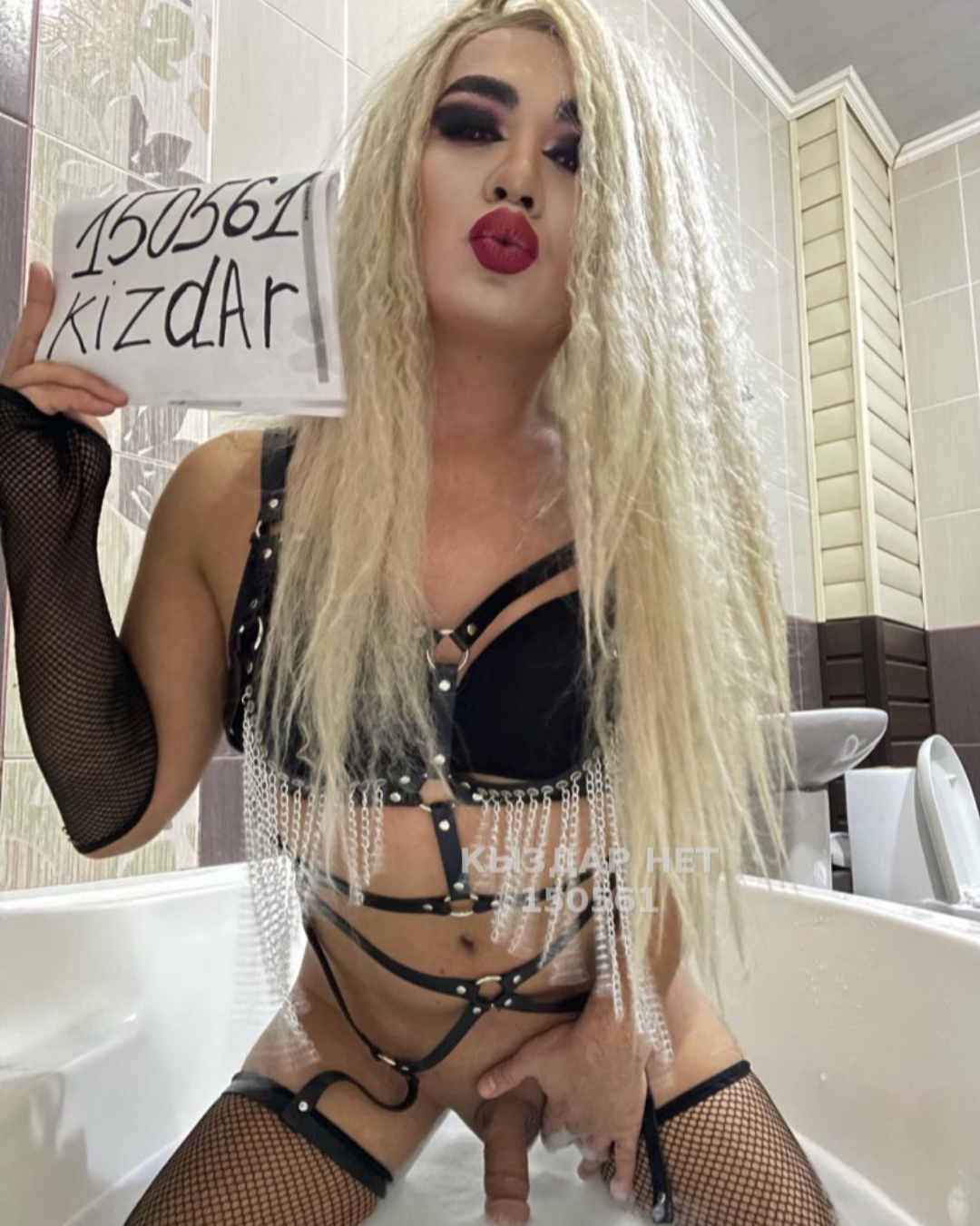 Bounty trans Шымкент